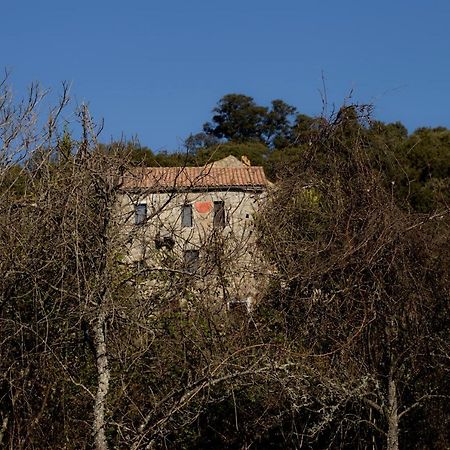 Casa Giacometti Grosseto-Prugna Extérieur photo
