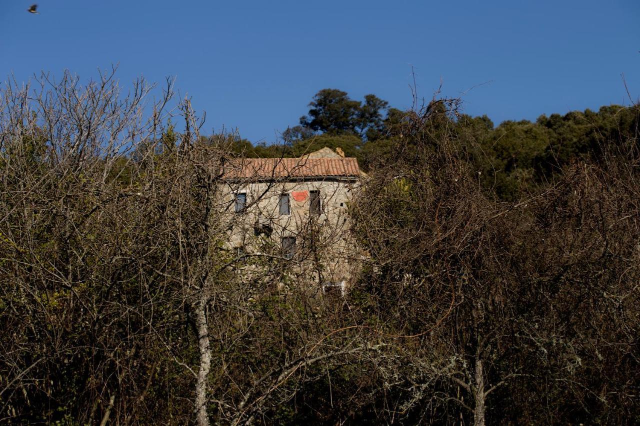 Casa Giacometti Grosseto-Prugna Extérieur photo